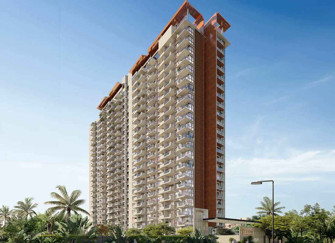 Satori elevation